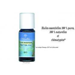 Huile essentielle Hélichryse italienne extra Sauvage biologique - Helichrysum ital. serot. G.D