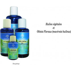 Oléat floral - huile de Paquerette - Bellis perennis - Bio